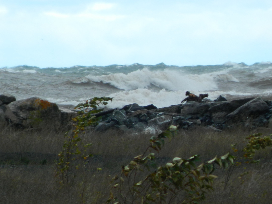 Griswold's Lodge主图