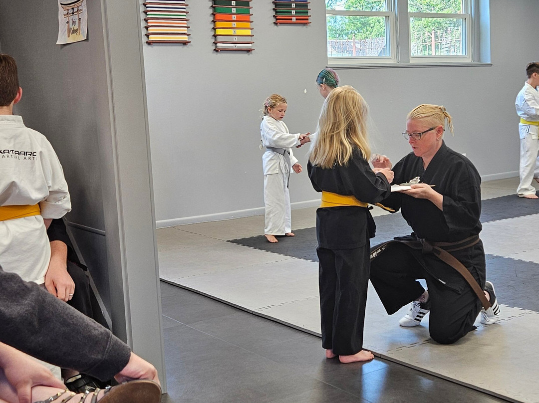 Kataaro Martial Arts-Lowell必去景点