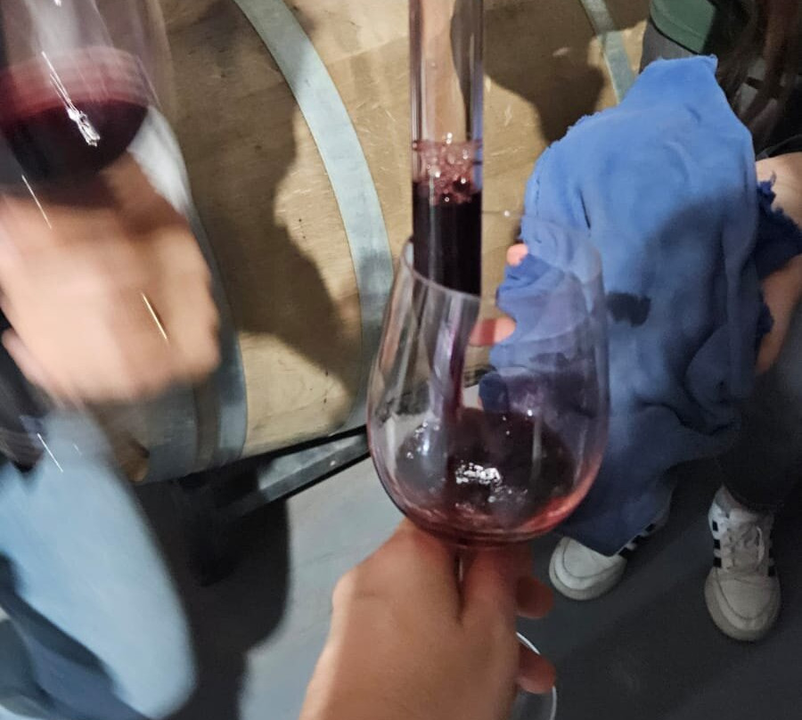 Laureano Gomez Winemaker景点图片