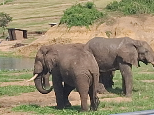 Explore Wildlife Africa-吉佳利必去景点