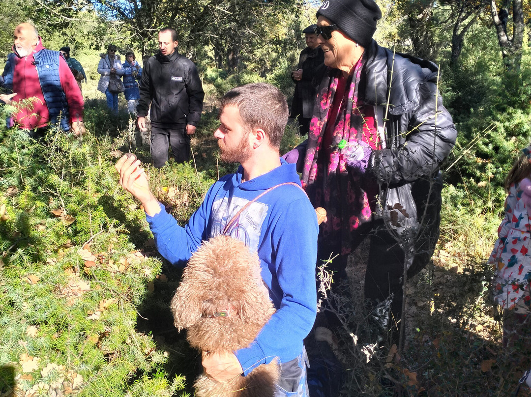 Truffle Hunting-卡兰巴卡必去景点