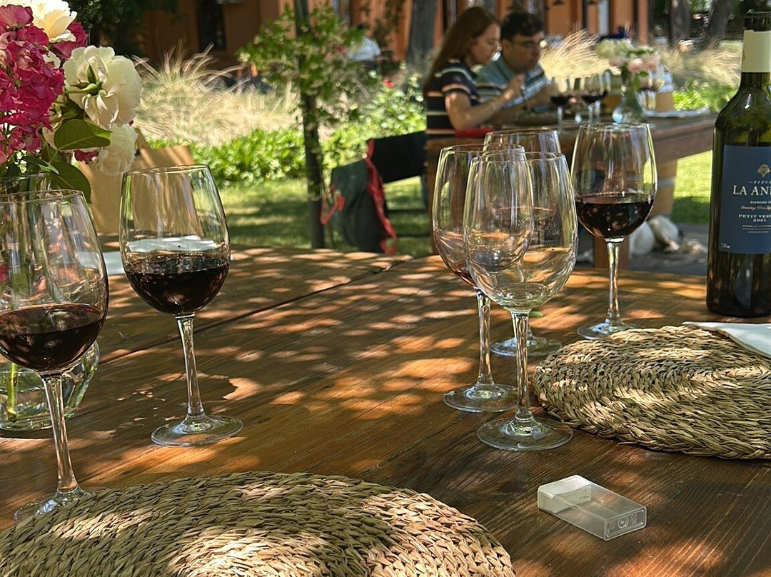 Finca La Anita景点图片