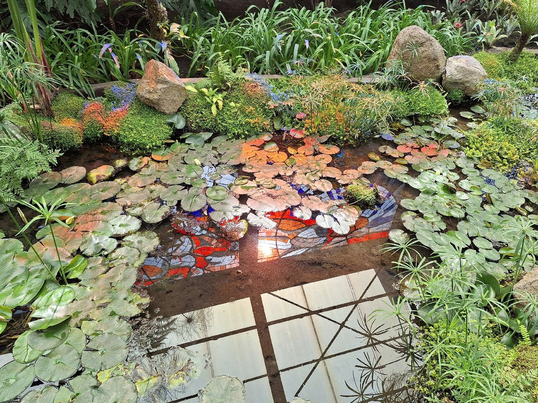 Cosmovitral Jardín Botánico景点图片
