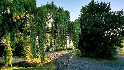 Riverview Country Inn主图