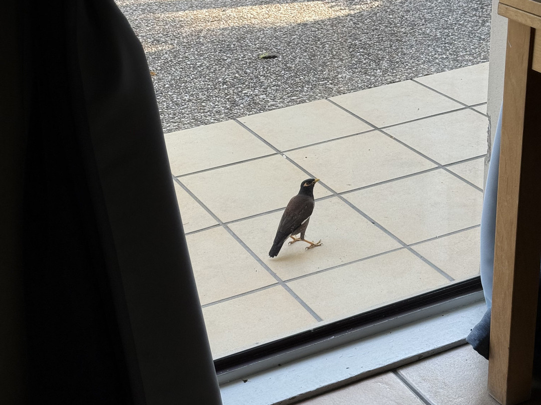 地平线旅馆主图