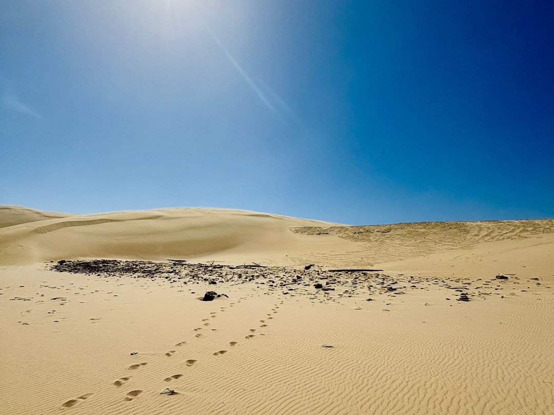 Alexandria Hiking Trails-Addo Elephant National Park必去景点