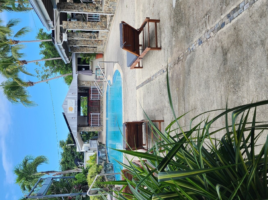 懒鹦鹉酒店主图