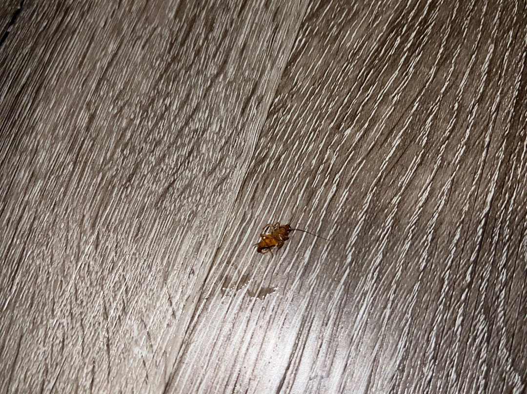 Baymont by Wyndham Norcross Atlanta主图