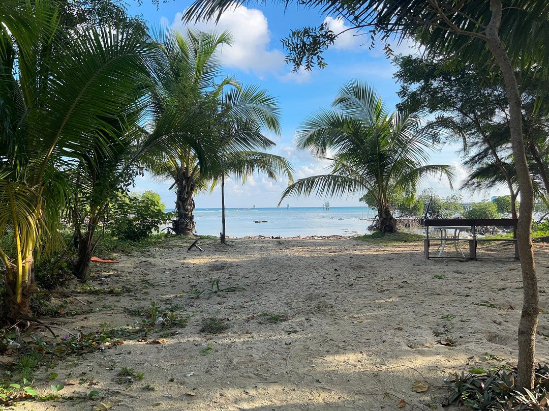 Andaman Experts景点图片
