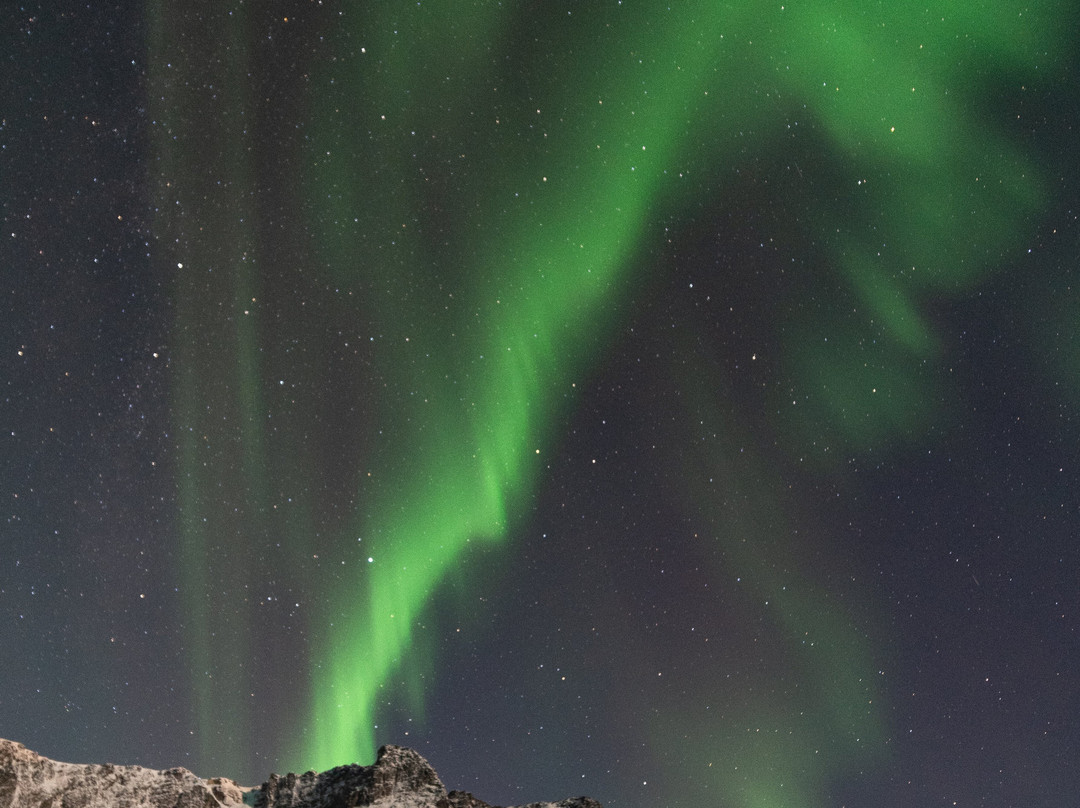 Northern Lights Safari景点图片