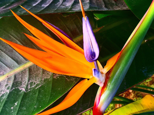 Southeast Asia Journeys-暹粒必去景点