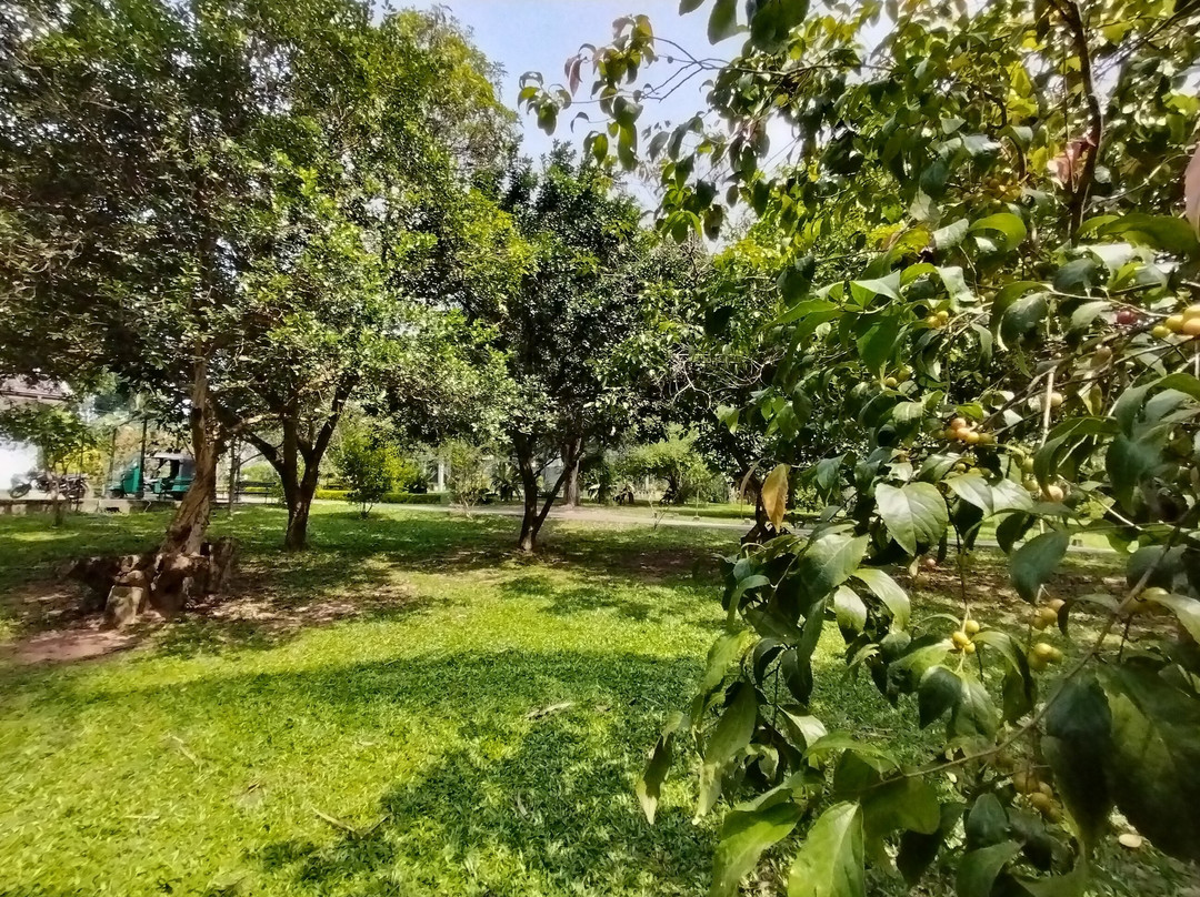 Henerathgoda Botanical Garden景点图片