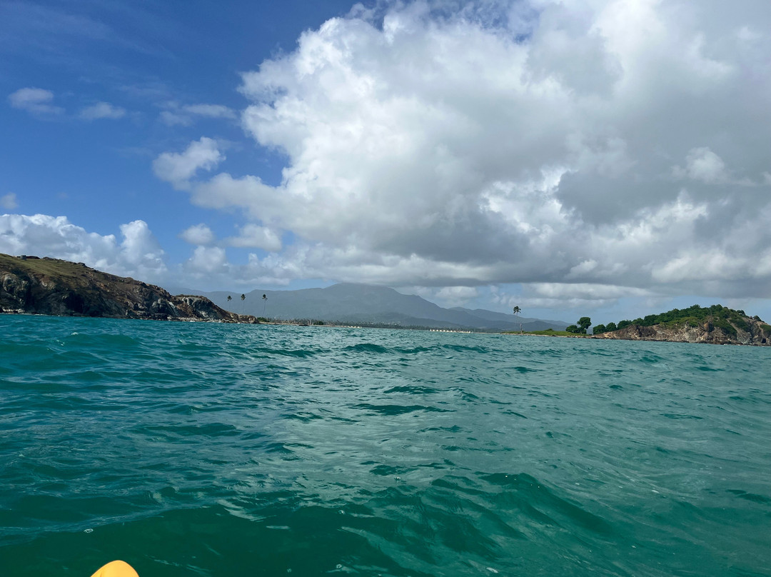 Barefoot Travelers Kayak Tour to Monkey Island景点图片