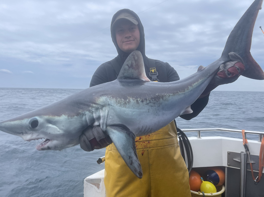 Cornish Fishing-法尔茅斯必去景点