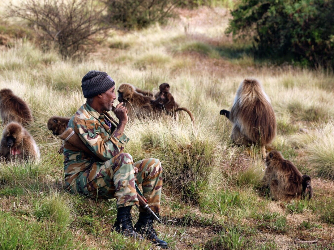 North Ethiopian Tour Operator-贡德尔必去景点