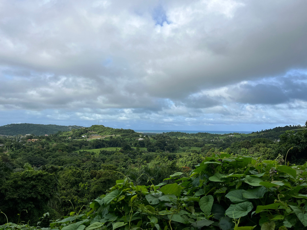 Carabali Rainforest Adventure Park-Luquillo必去景点