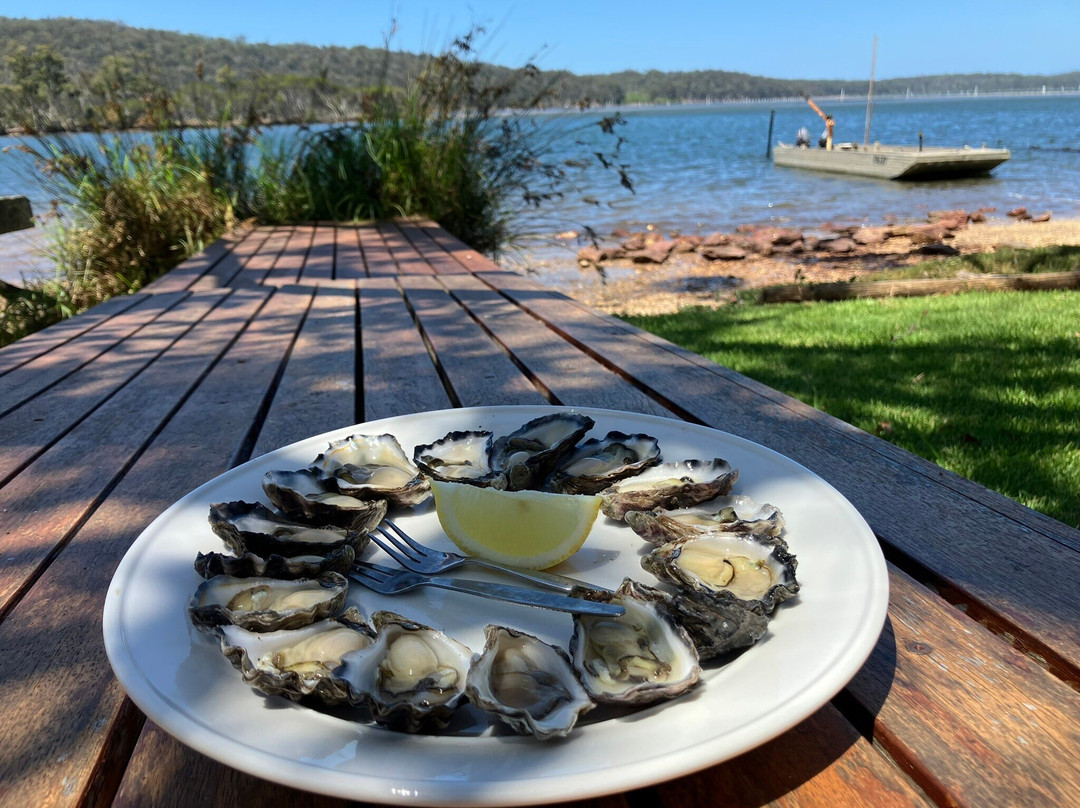 Broadwater Oysters景点图片