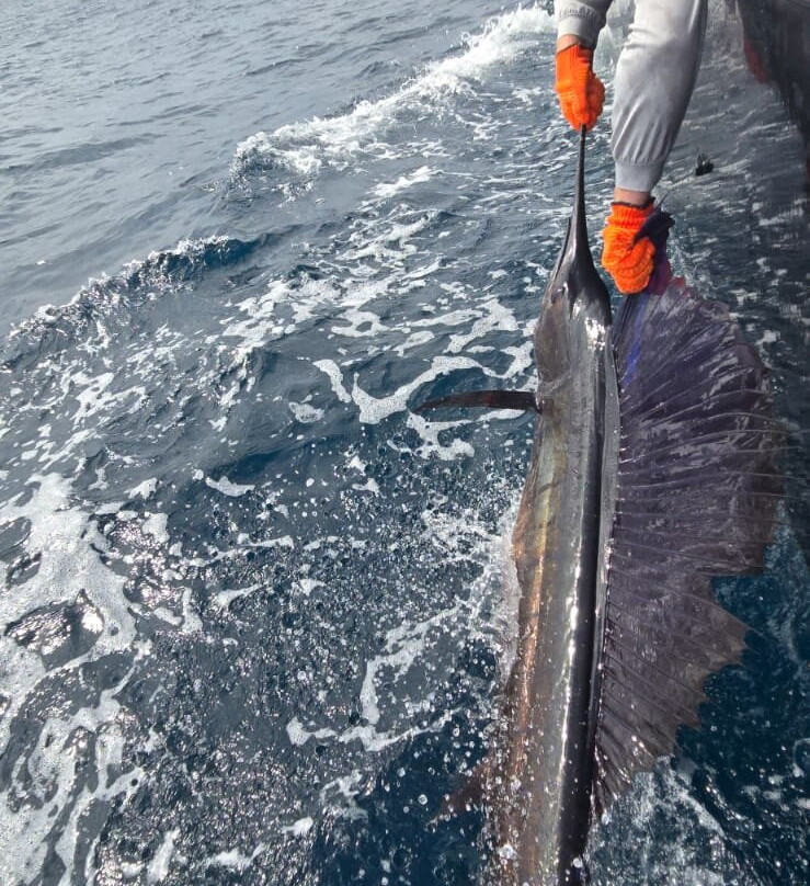 Quepos Fishing-克波斯必去景点