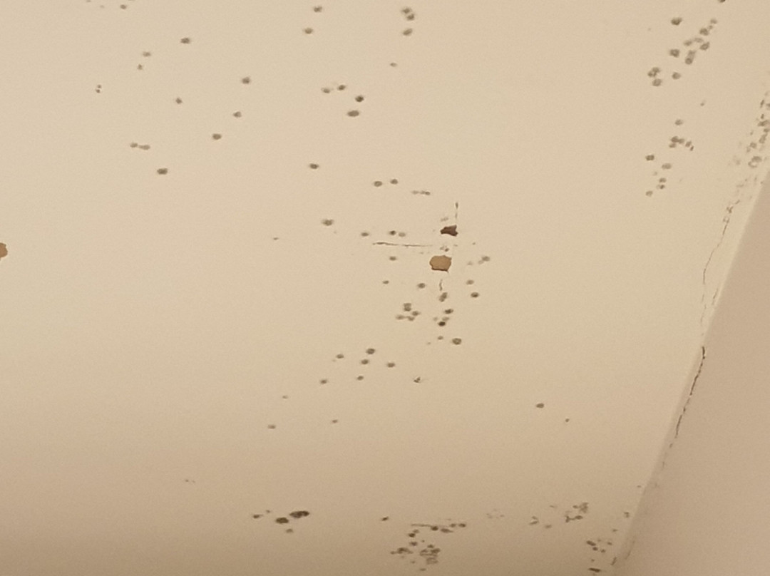 Premier Inn Ashington Hotel主图