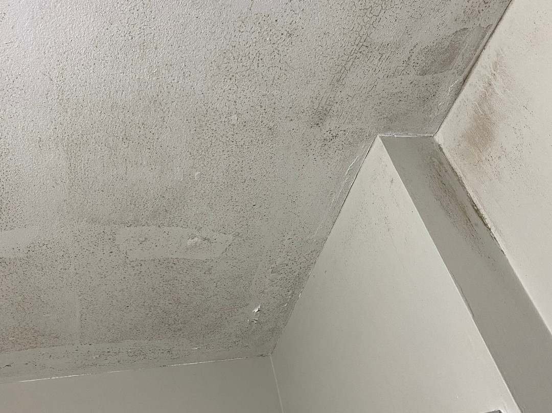 Microtel Inn & Suites by Wyndham Tifton主图