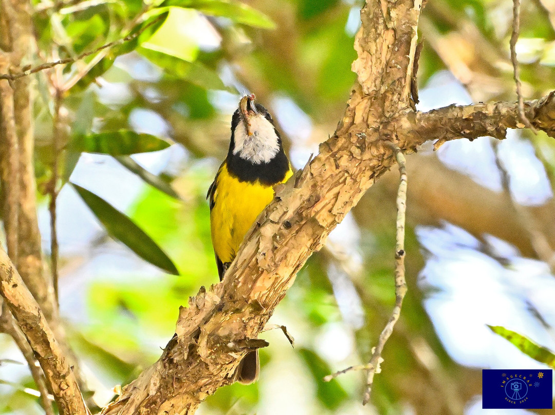 Myall River Camp主图