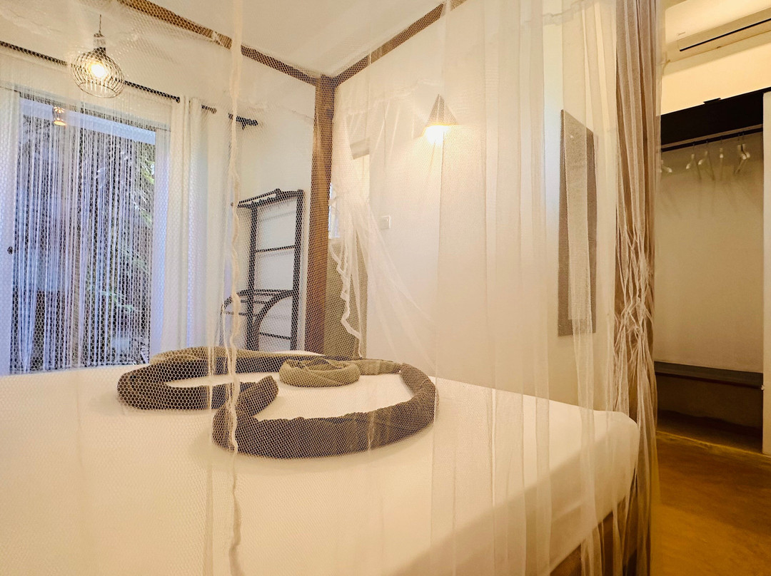 Colours Of Life Home主图