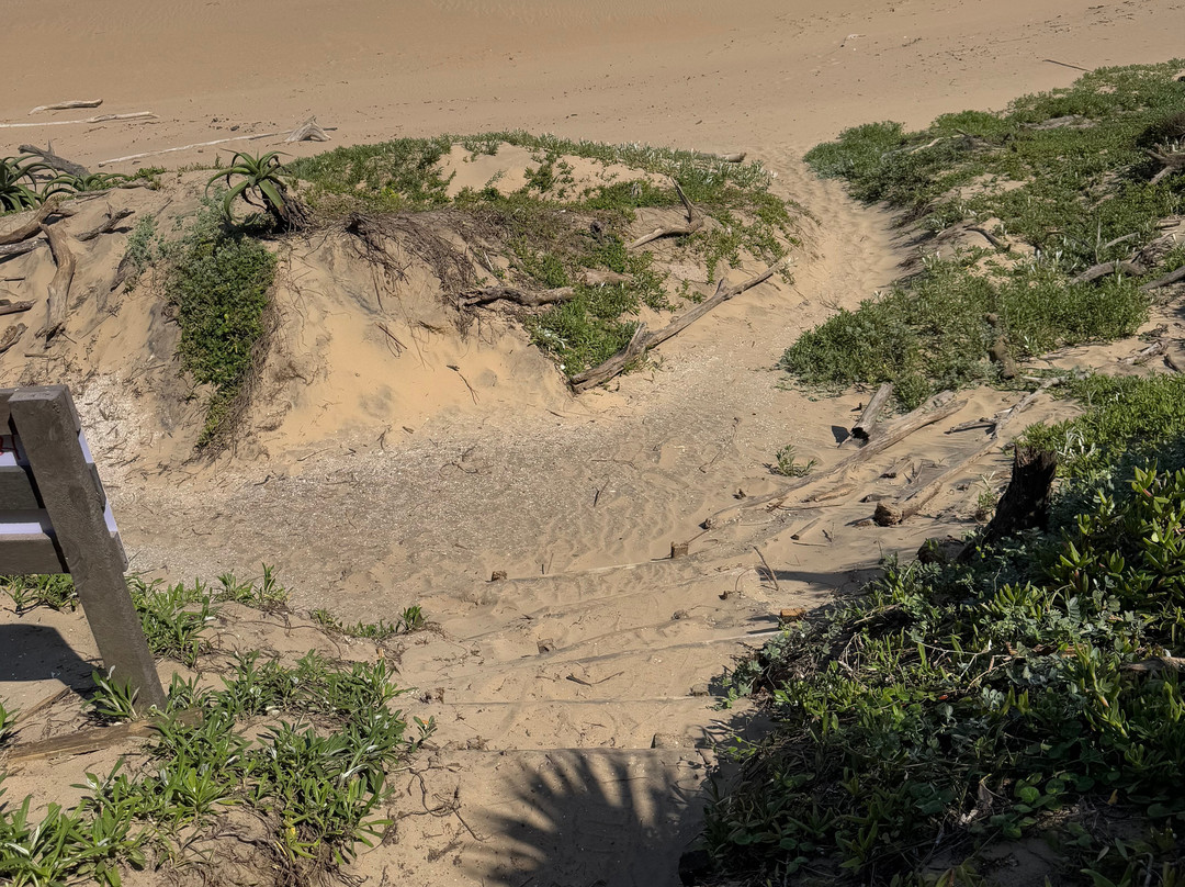 Umhlanga Lagoon Nature Reserve-Umhlanga必去景点