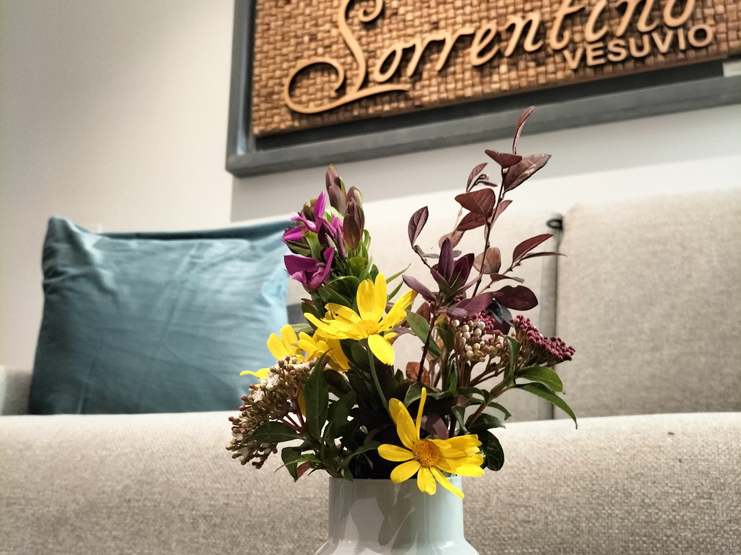 Vesuvio Inn Bed & Wine Experience主图