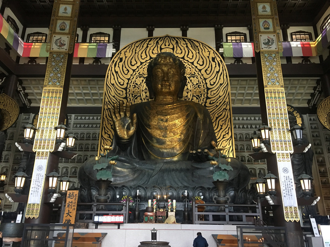 Echizen Daibutsu景点图片