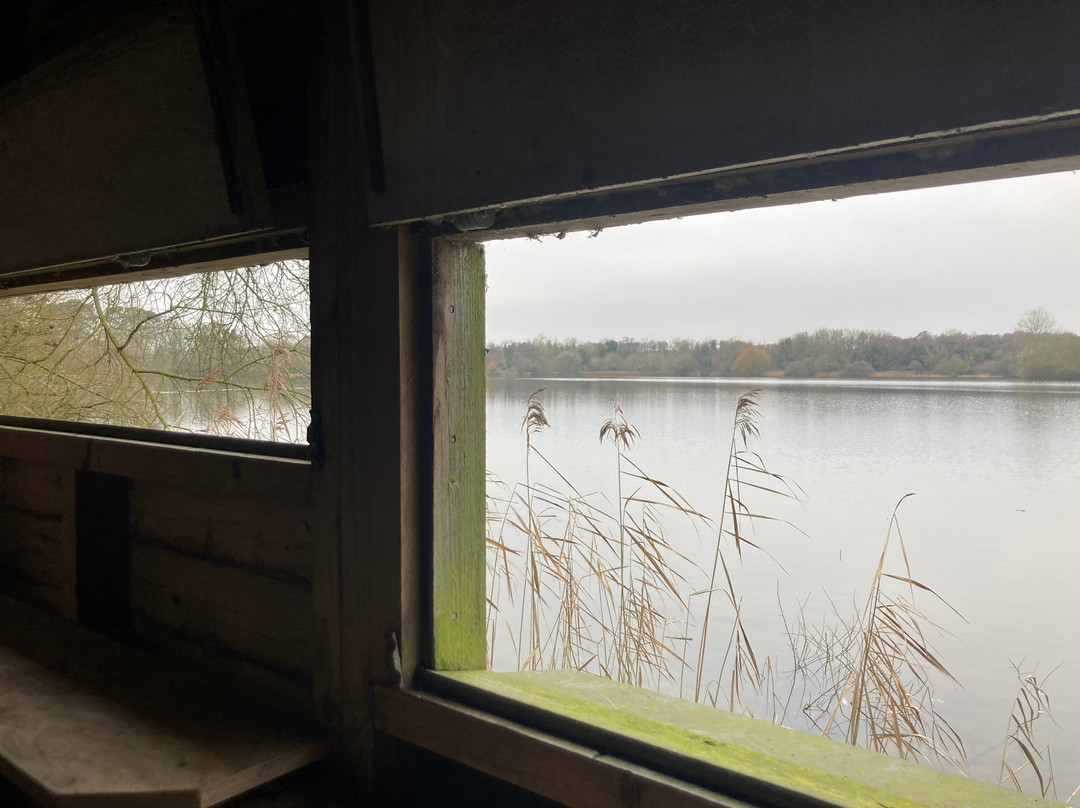 Lackford Lakes景点图片