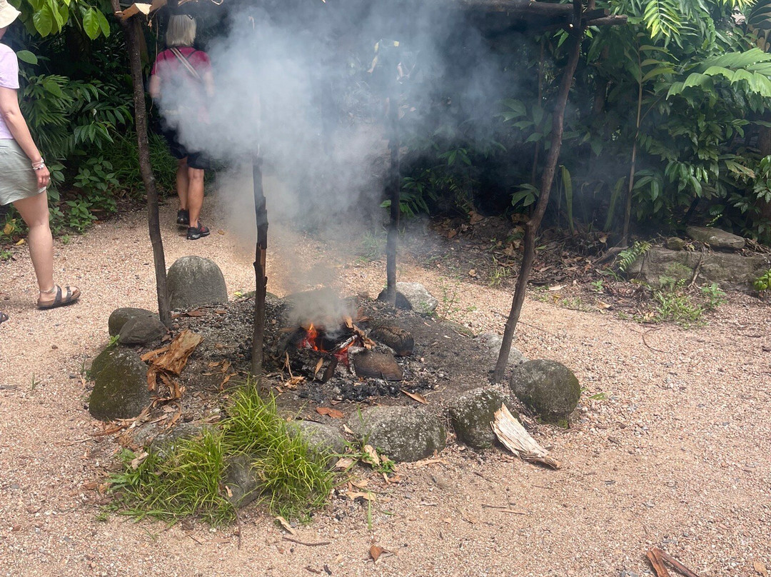 Mossman Gorge Centre Tours-Daintree必去景点