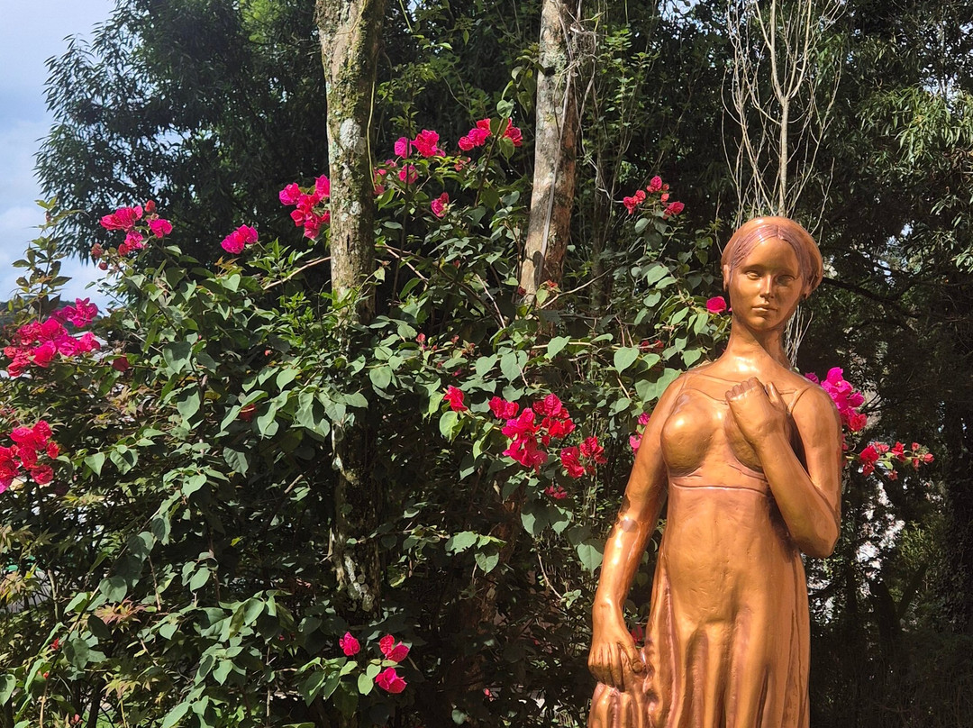 Castelo Boutique Hotel主图