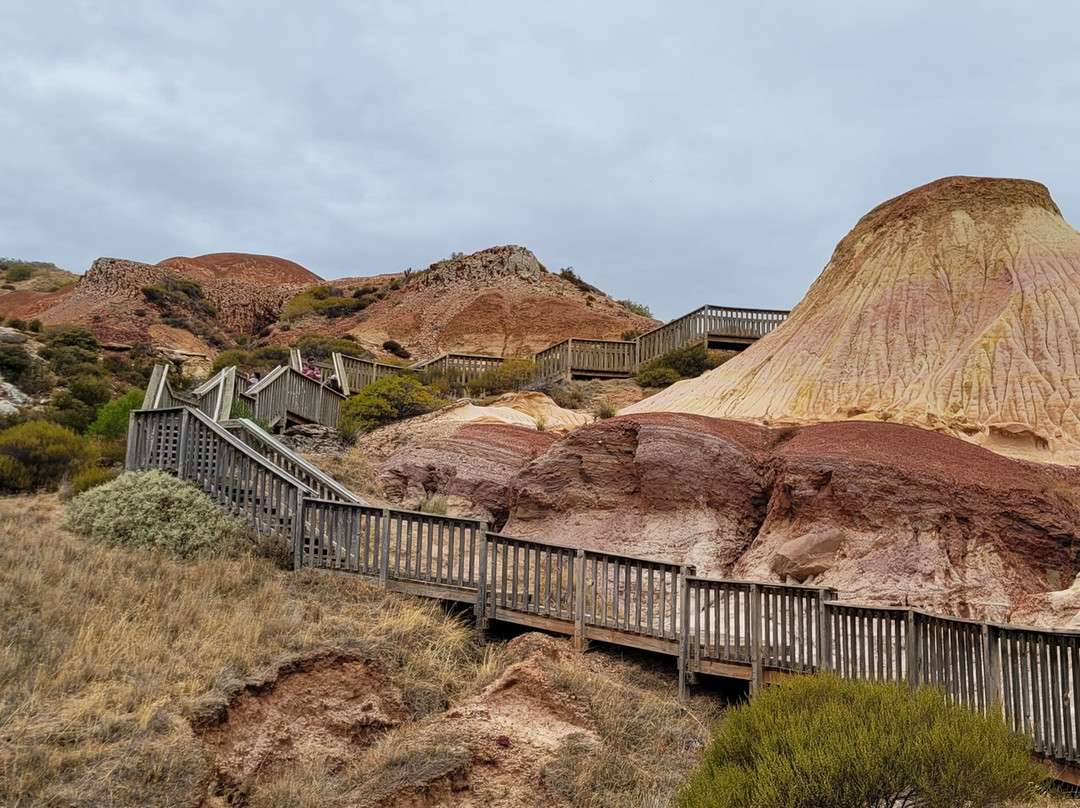 Hallett Cove Conservation Park景点图片