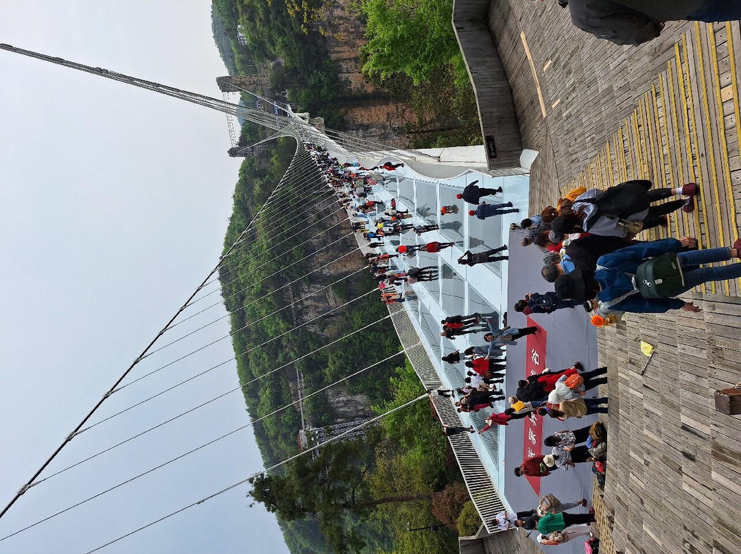 张家界玻璃桥-张家界市必去景点