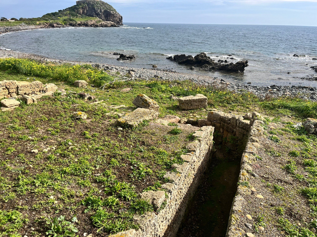 Parco Archeologico Di Nora-普拉必去景点