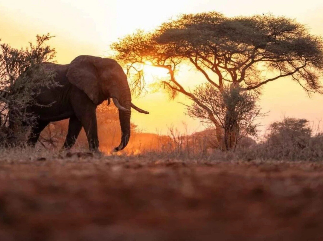 Hopeaka Safari And Tours