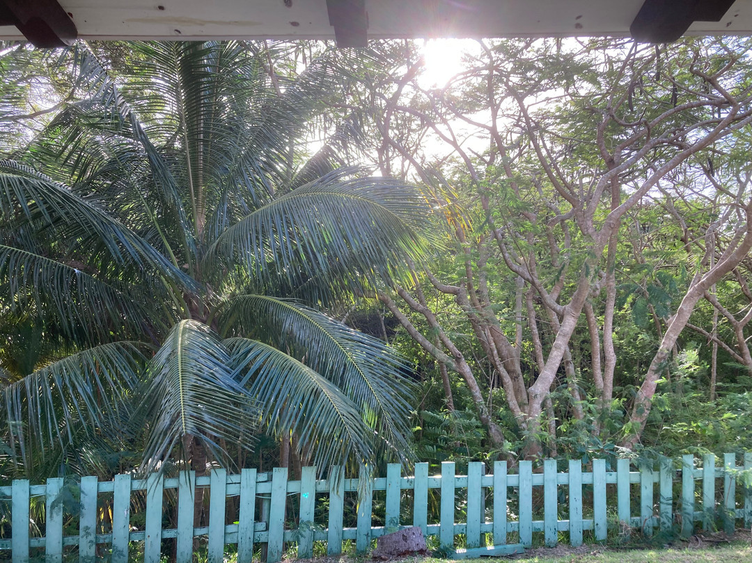 Sugar Cane Club Hotel & Spa主图