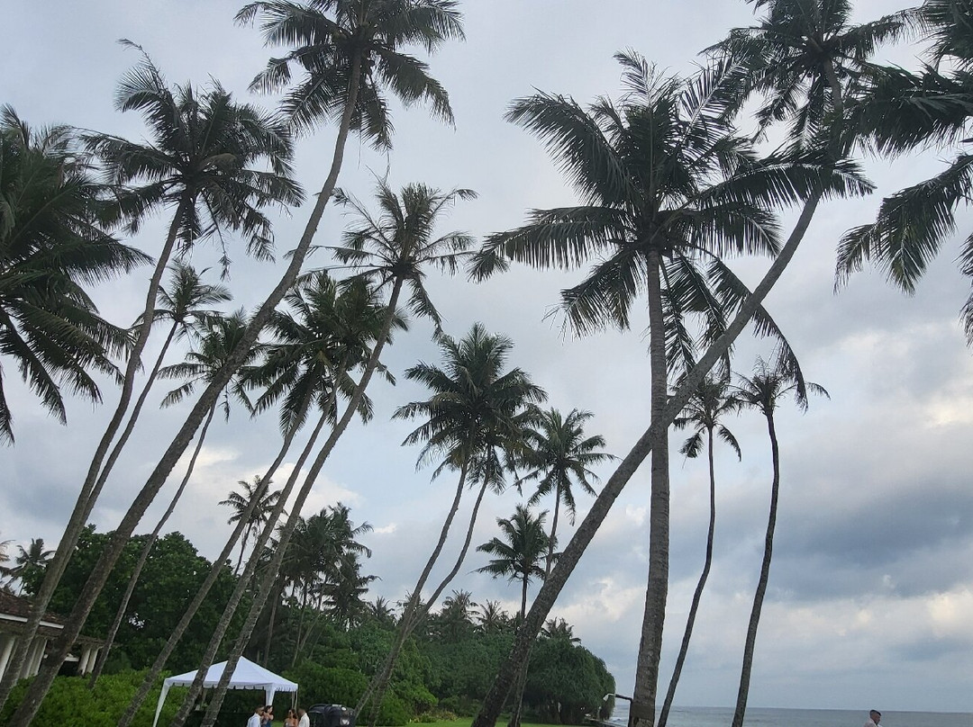 Ella Rasika Tours & Taxi-Weligatta必去景点