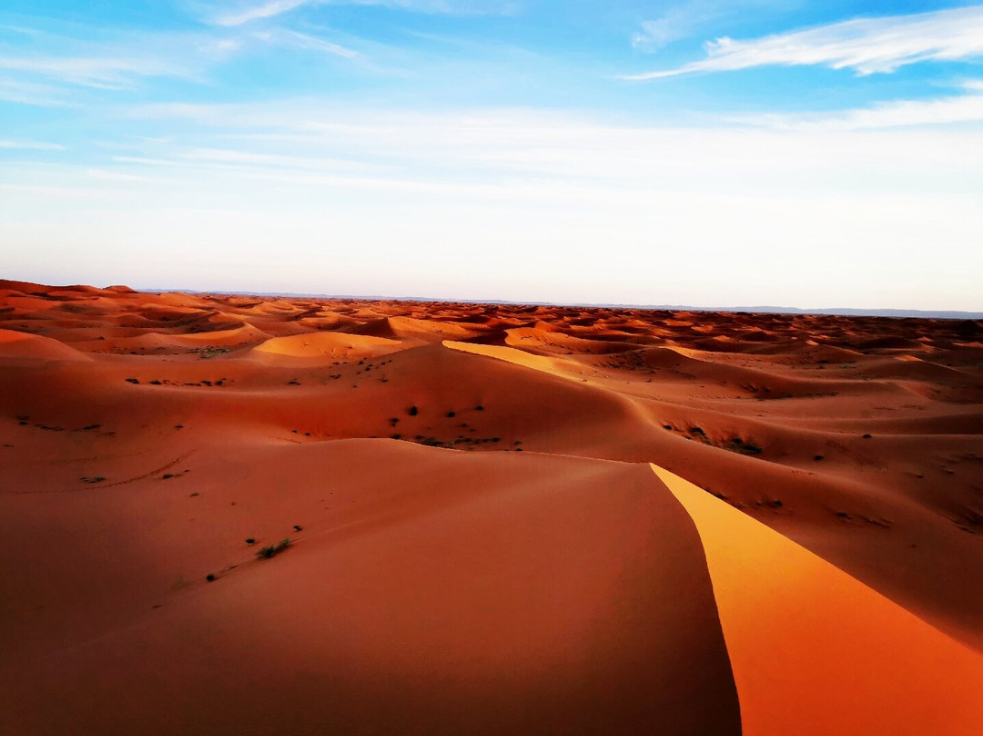 Saharastern-扎古拉必去景点