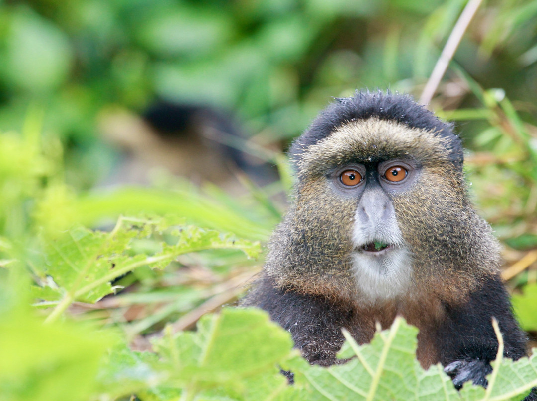 Katsam Adventures-吉佳利必去景点