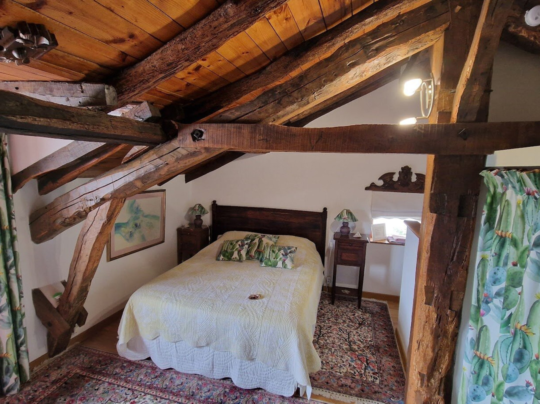 米尔洛克斯葡萄园住宿加早餐旅馆主图