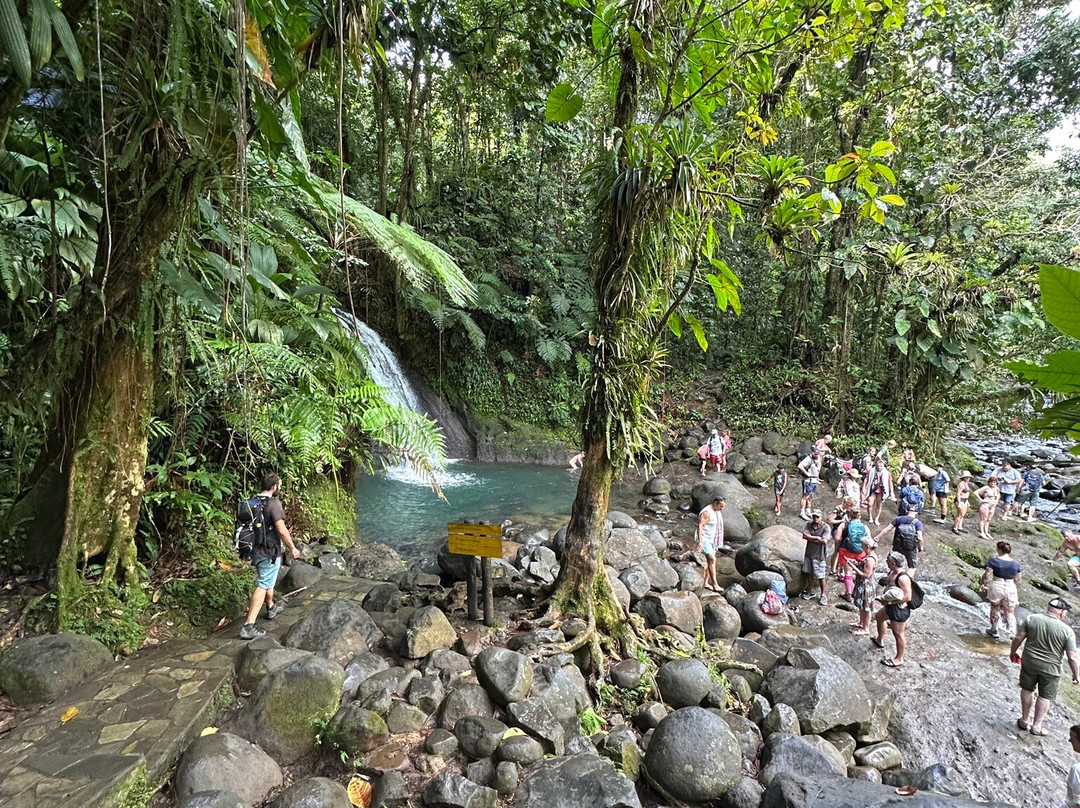Guadeloupe National Park-Petit-Bourg必去景点