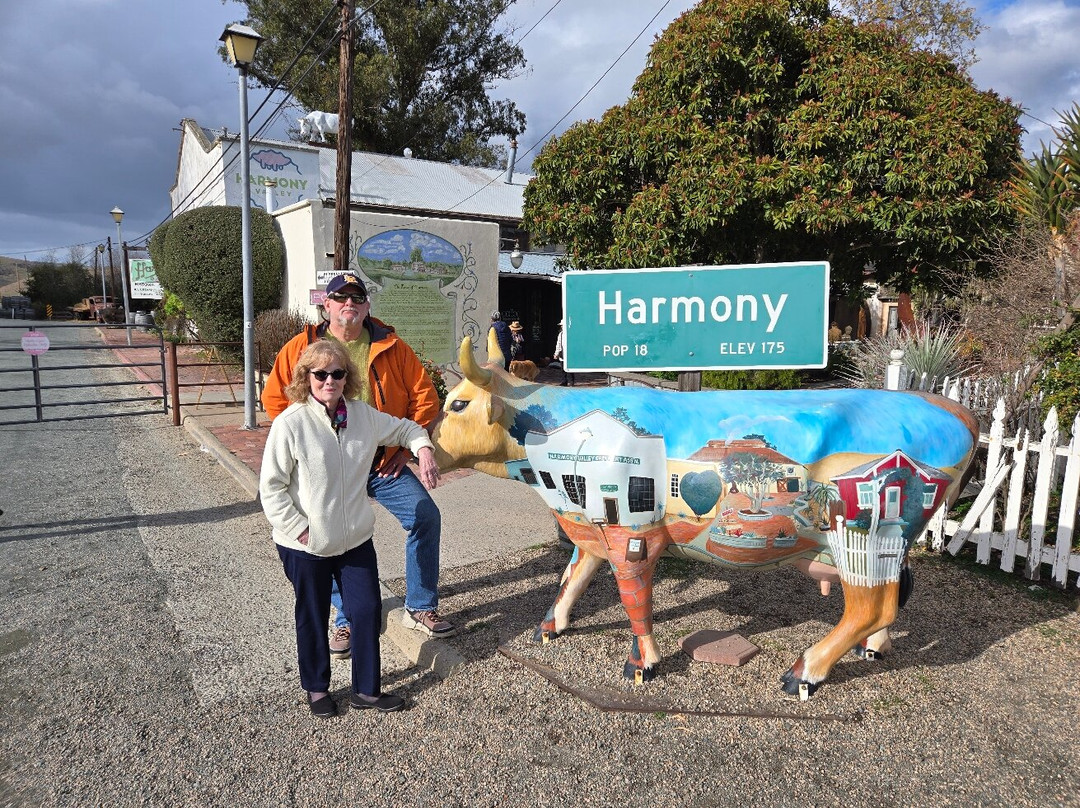 Harmony Glassworks-Harmony必去景点