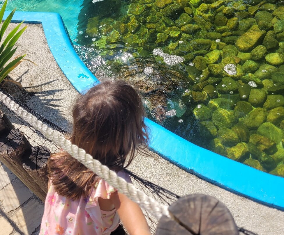 Projeto Tamar-乌巴图巴必去景点