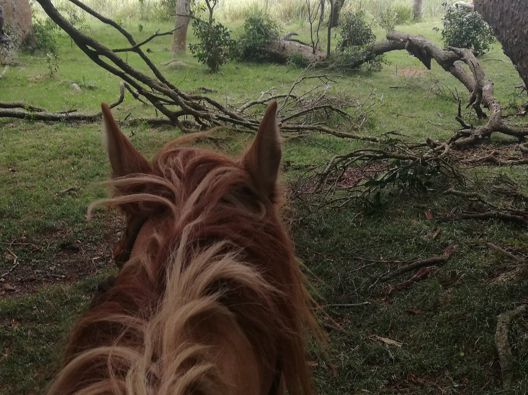 Cabalgatas Valiceras-Valizas必去景点