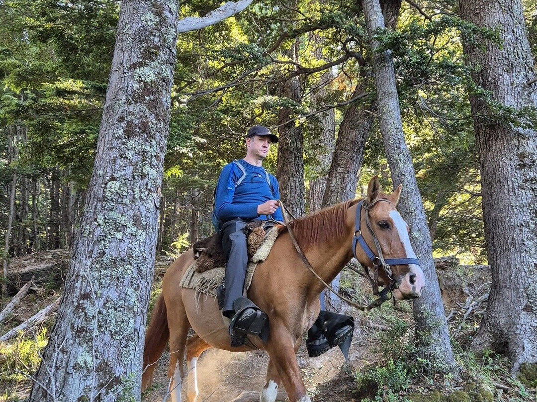 Turismo Antuhuya-Futaleufu必去景点