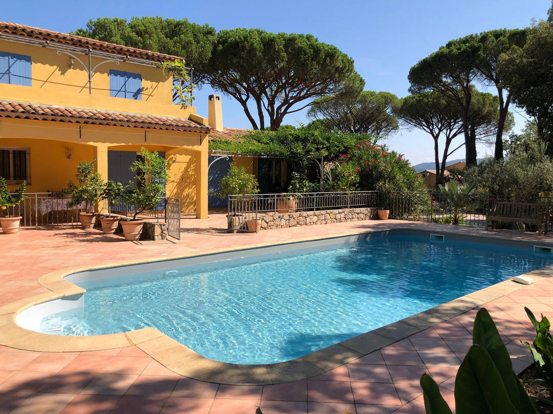 Sous Les Pins Parasols