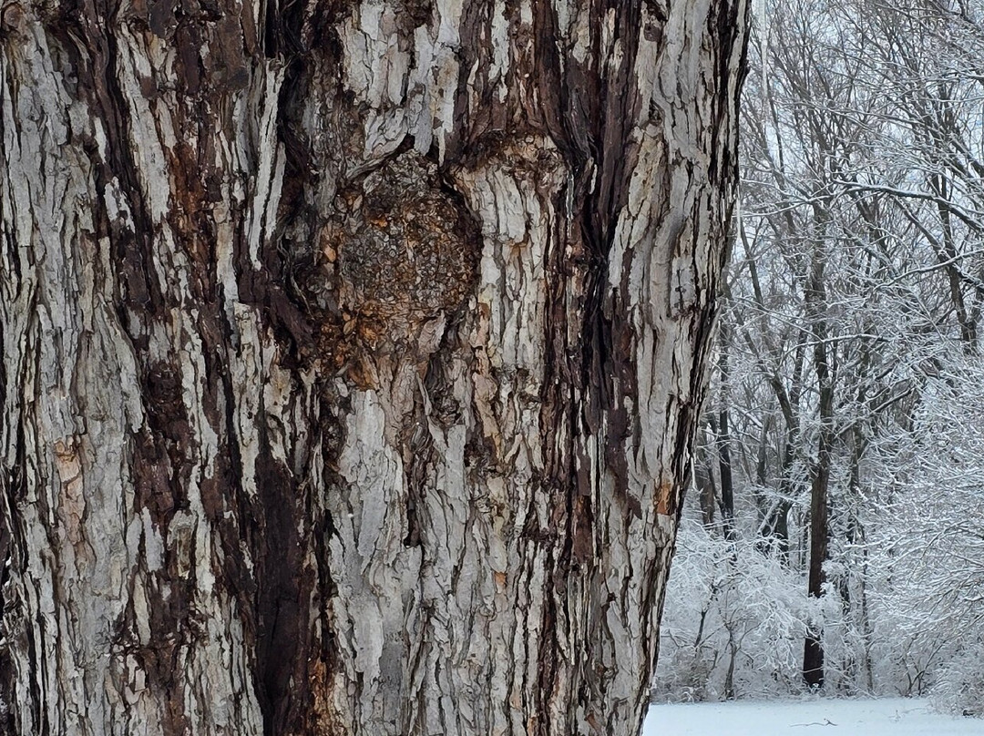 Crains Run Nature Park-Miamisburg必去景点