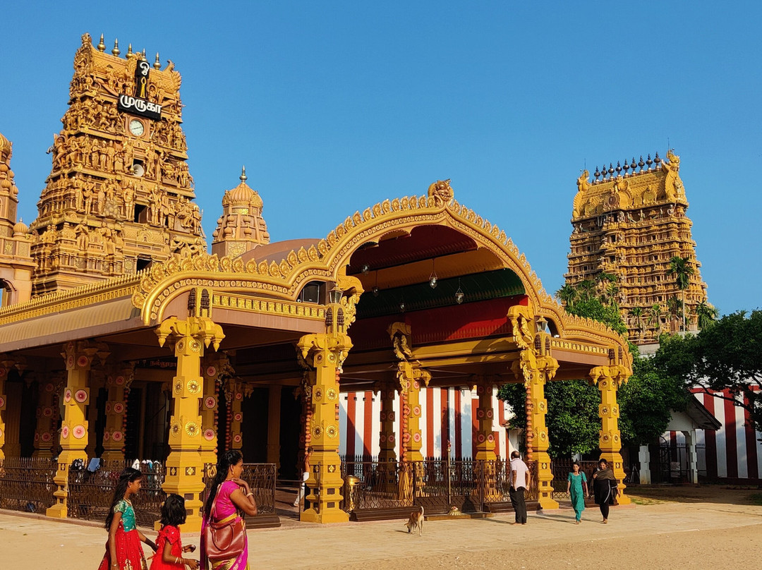 Tour In Sri Lanka-斯里贾亚瓦德纳普拉必去景点