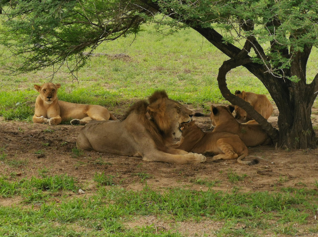 Hello Tanzania-Dar es Salaam必去景点